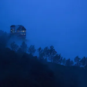 Fragrant Nature 5*, Munnar India